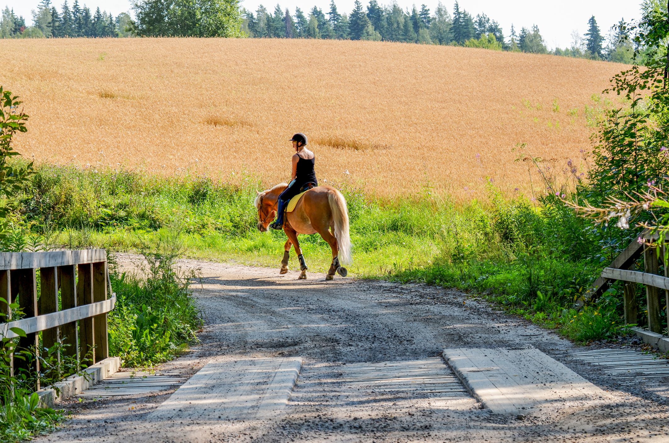 A woman riding a horse past a wooden bridge in summertime. 