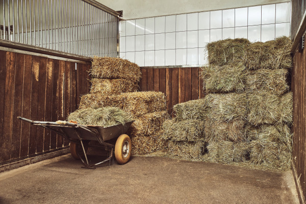 A stack of hay bales in a barn with a wheelbarrow in front of it. 