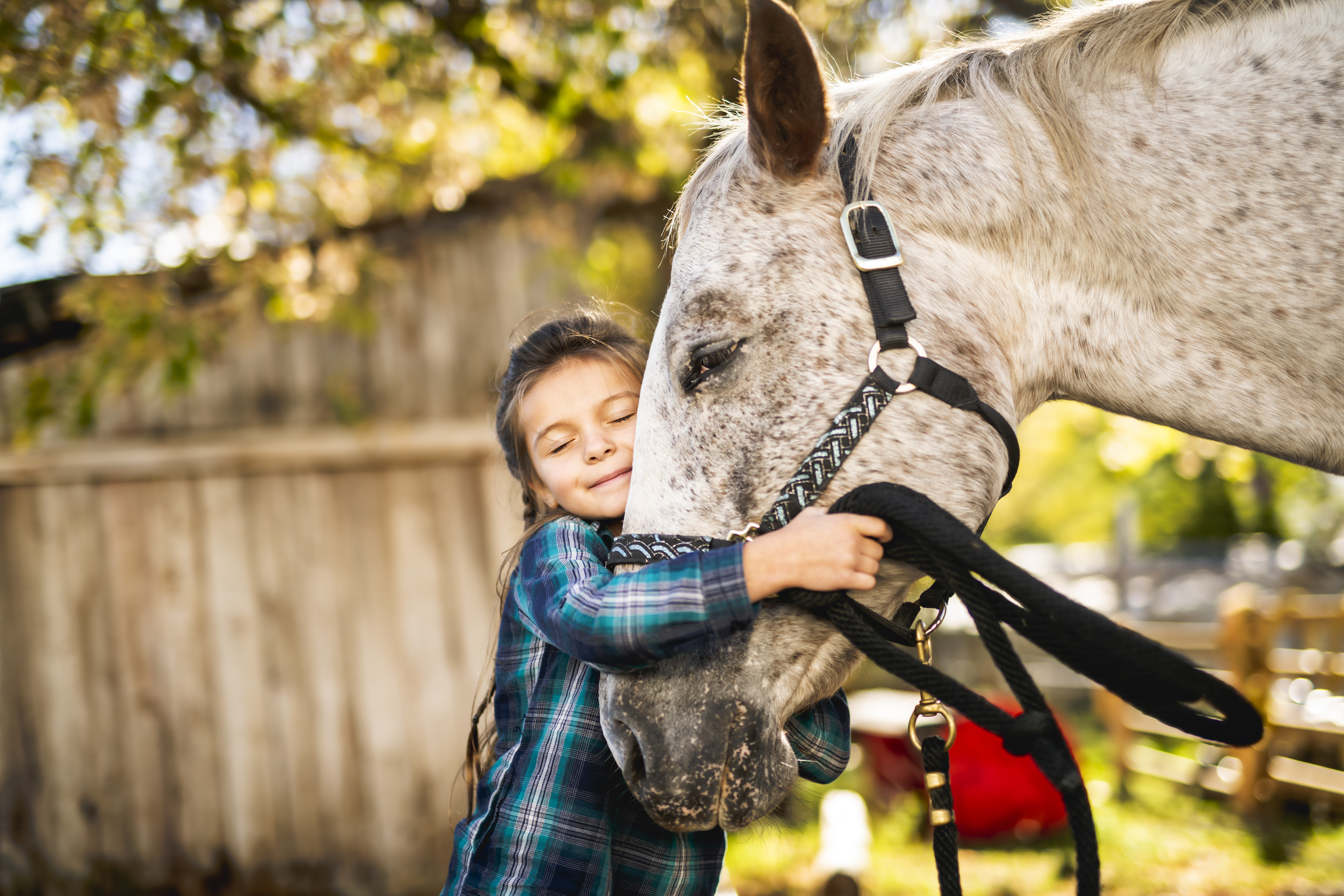 A young girl hugging a horses's head.