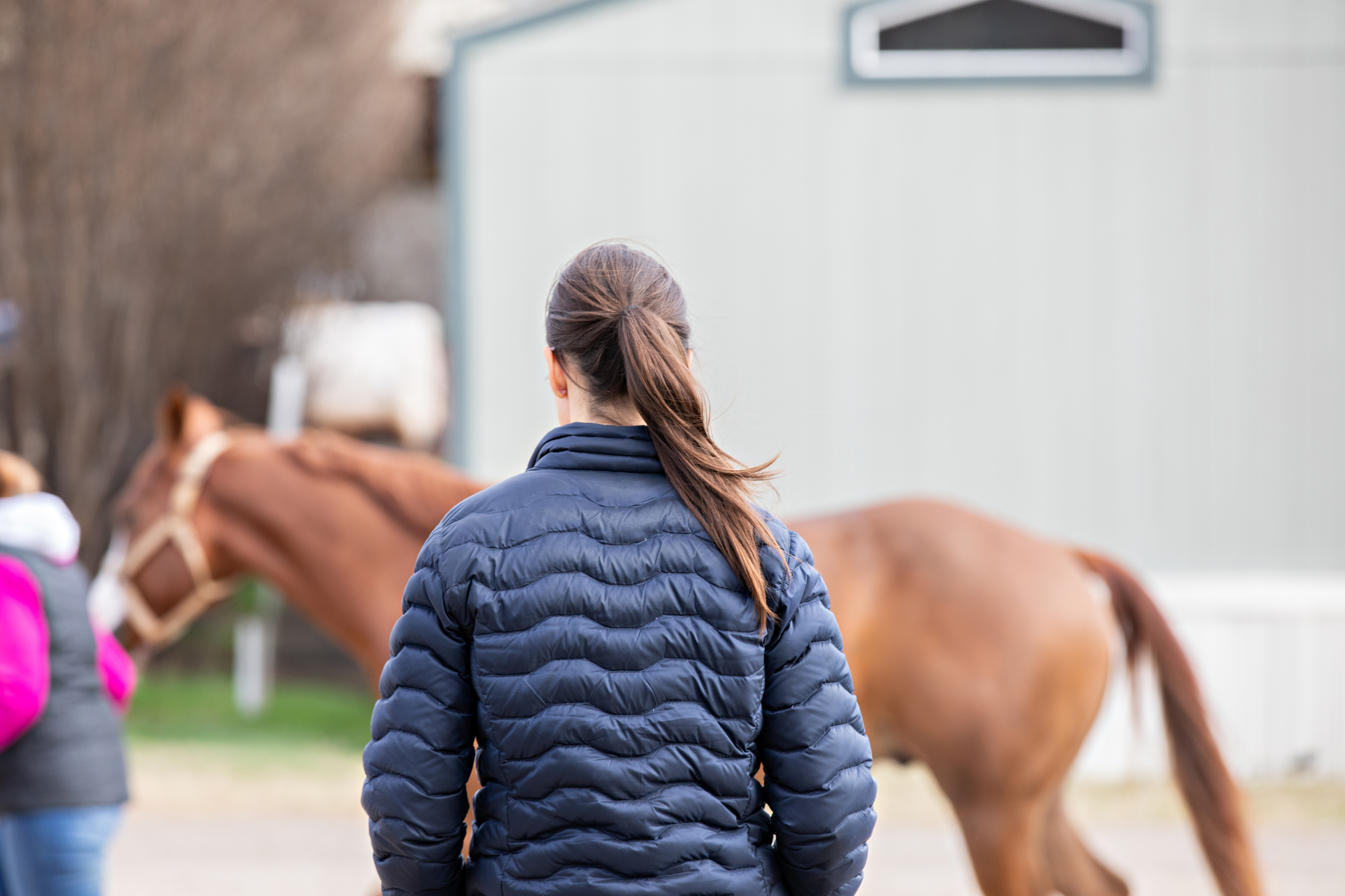 A woman watching a horse being jogged for a lameness exam 