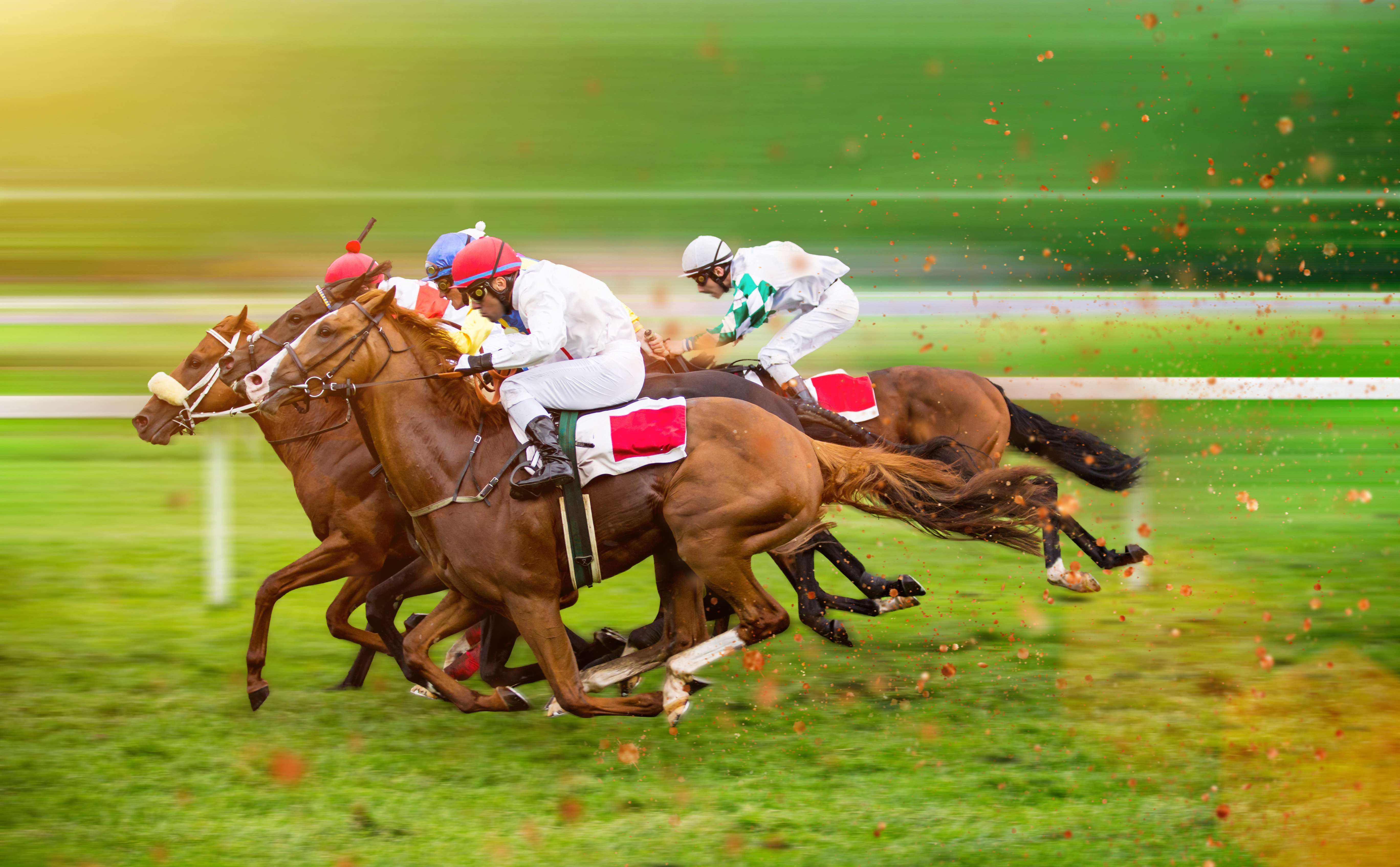 A group of horses racing on turf