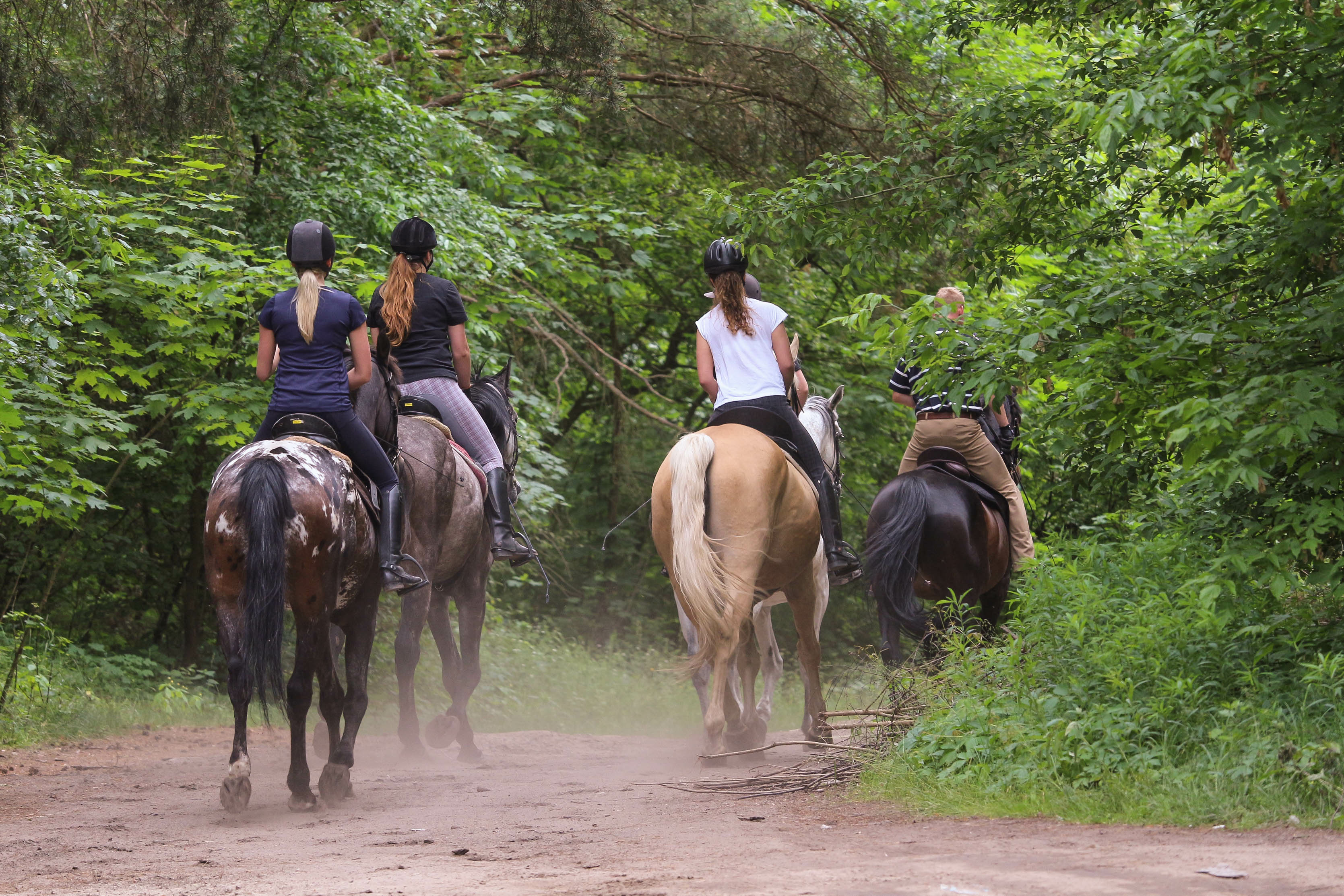 A group of riders on a trail ride