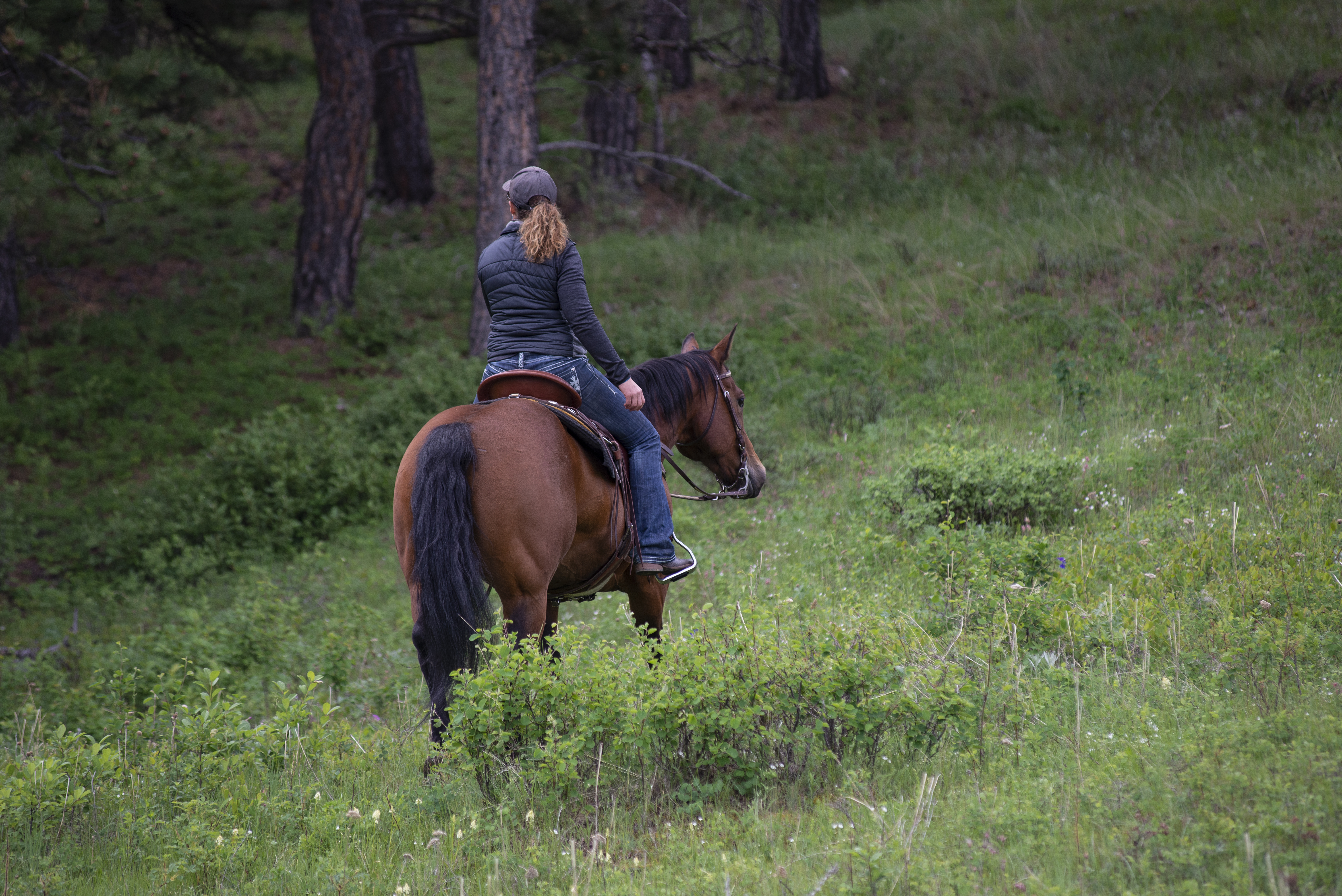 A woman riding a horse across a wooded hillside.

