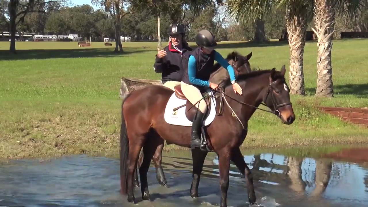 A rider on a horse standing in water