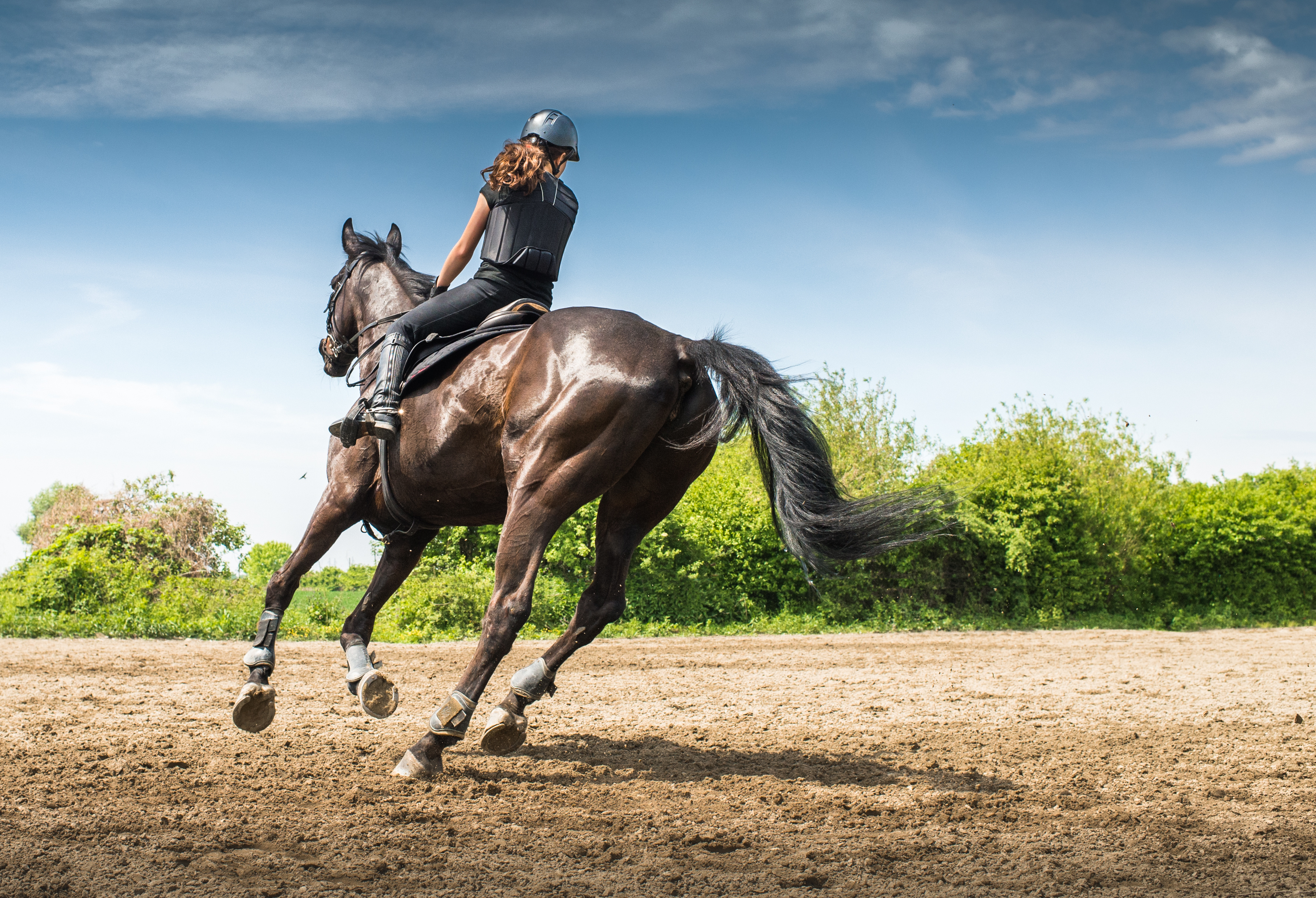 A girl cantering on a horse 