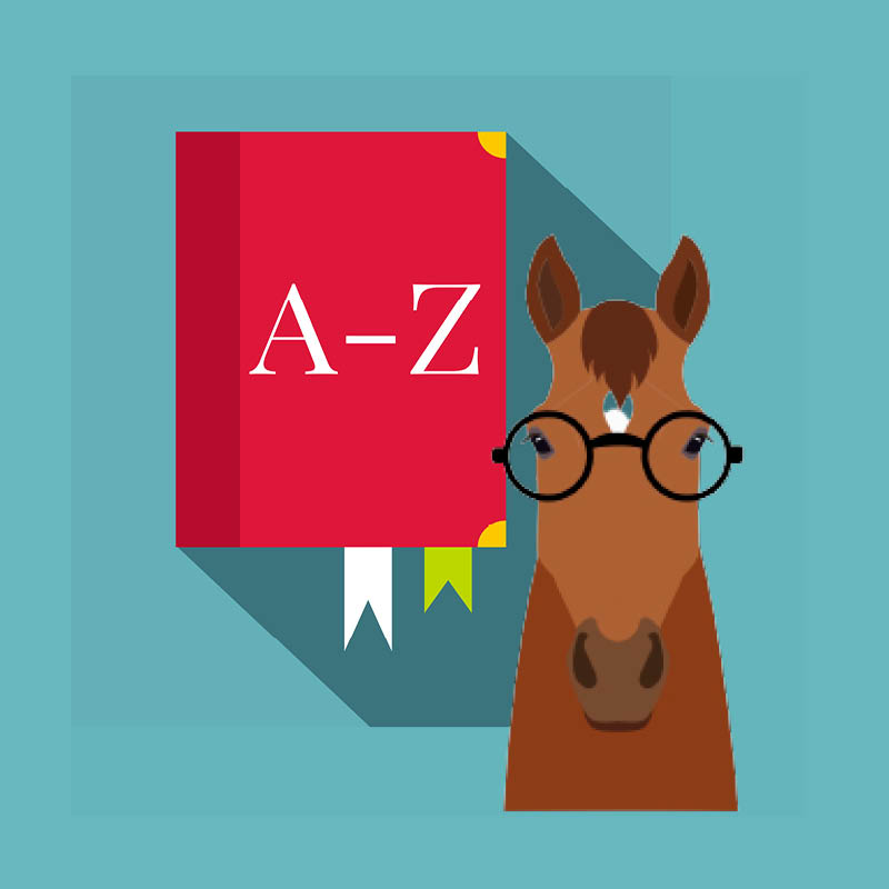 how-do-you-spell-equus-magazine