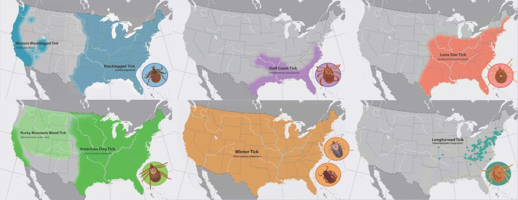 Maps showing distribution of tick species around the United States. 
