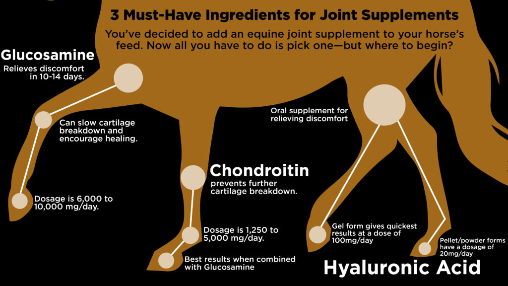 infographic on joint supplement ingredients