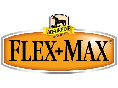 Flex+Max logo