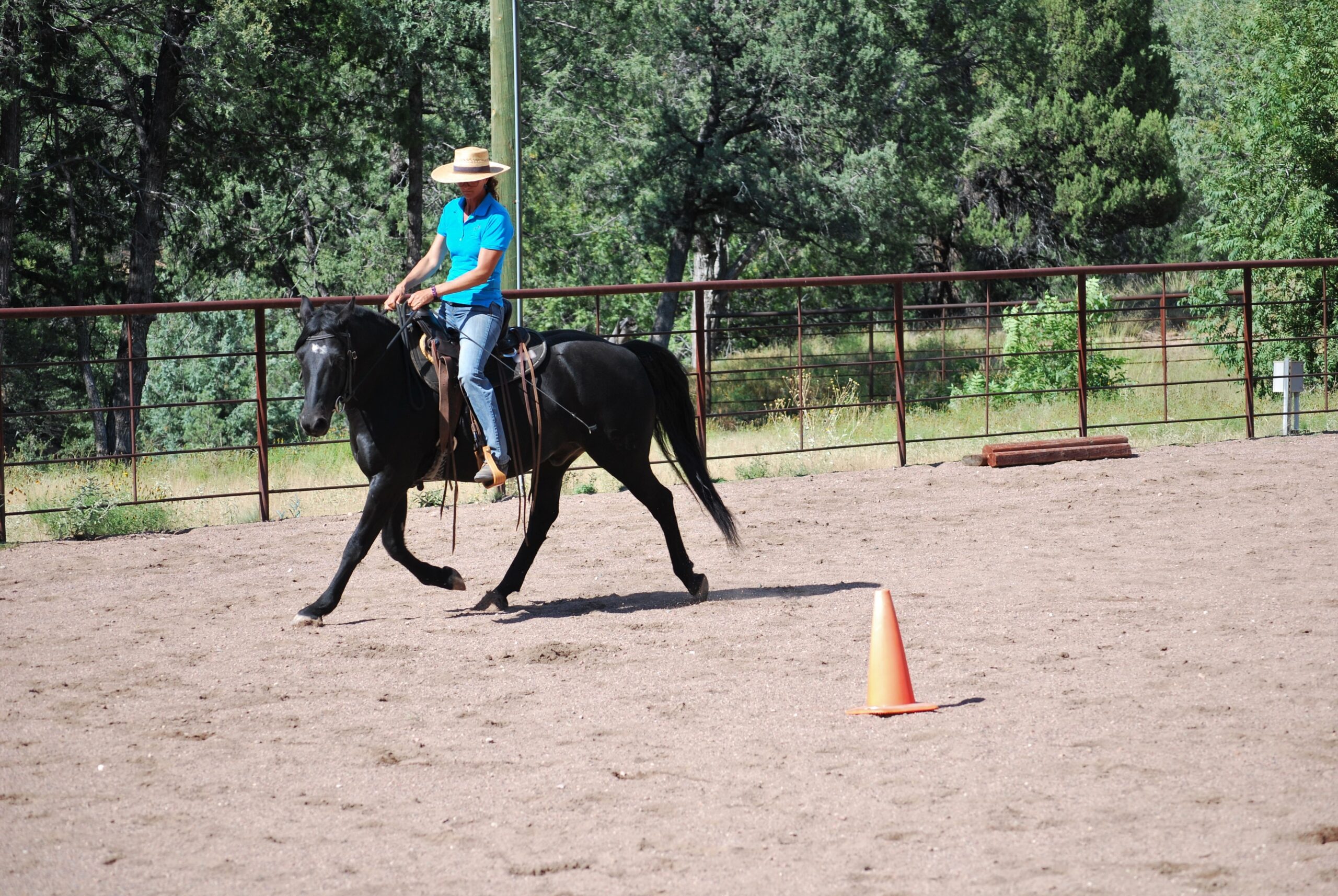 4 common horse training challenges