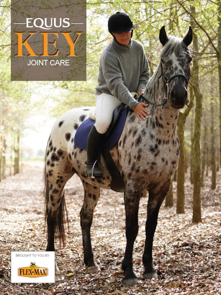 Cover of EQUUS Key on joint care