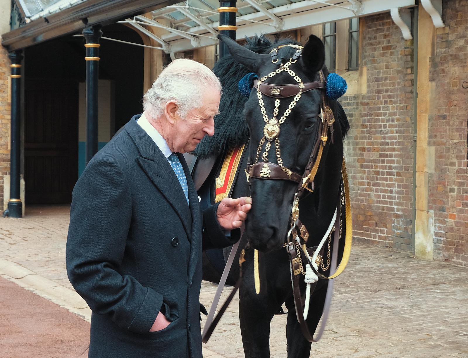 King Charles receives new horse from RCMP