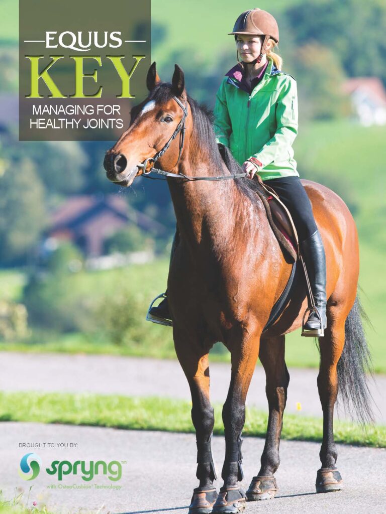Cover image for EQ Key 10 on joint health