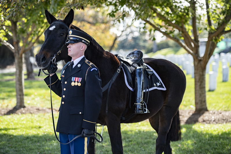 A caparison horse and soldier from the 3d U.S. Infantry Regiment (The Old Guard) honor the late Gen. (ret.) Colin Powell during a special military funeral at Arlington National Cemetery, Arlington, Virginia, Nov. 5, 2021. (U.S. Army photo by Elizabeth Fraser /
Arlington National Cemetery)
